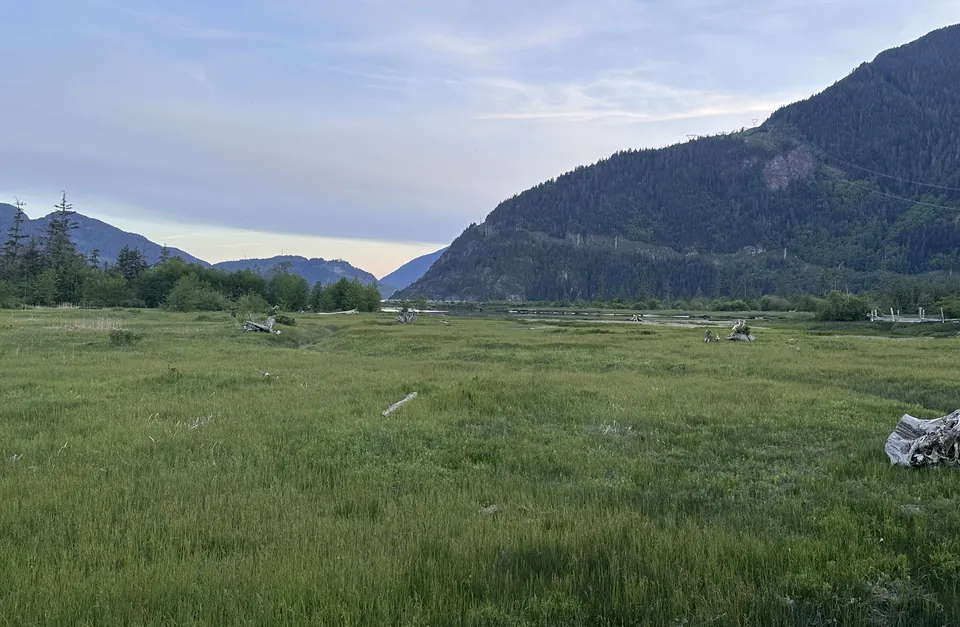 This view on May 11, 2026